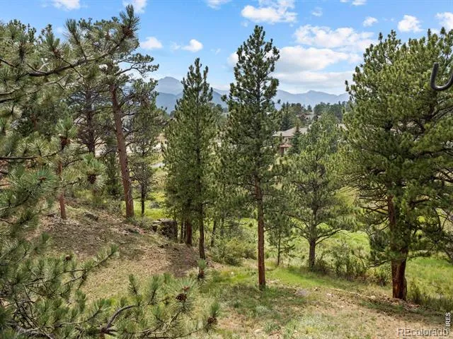 271 Steamer Court Estes Park, CO 80517