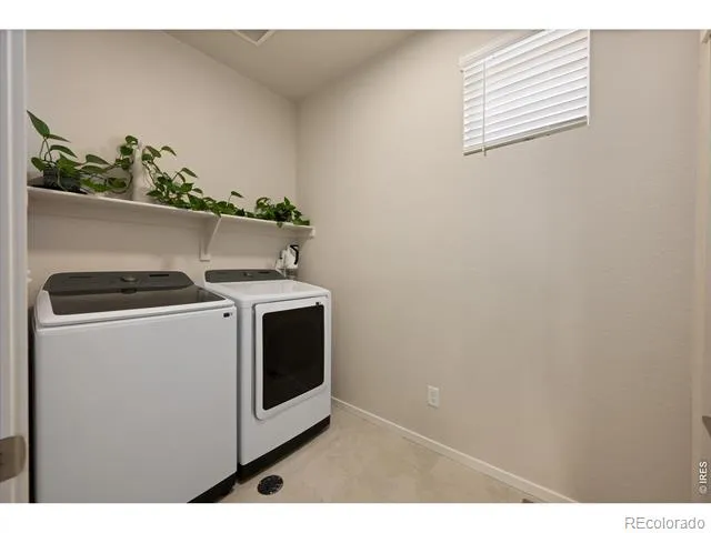 5251 Ribault Street Timnath, CO 80547