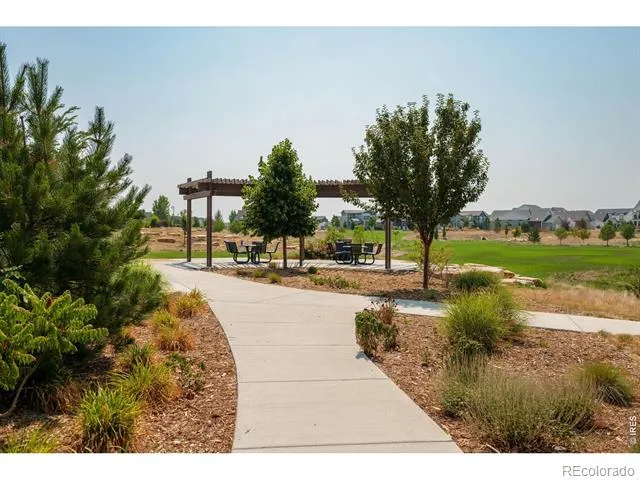 5251 Ribault Street Timnath, CO 80547
