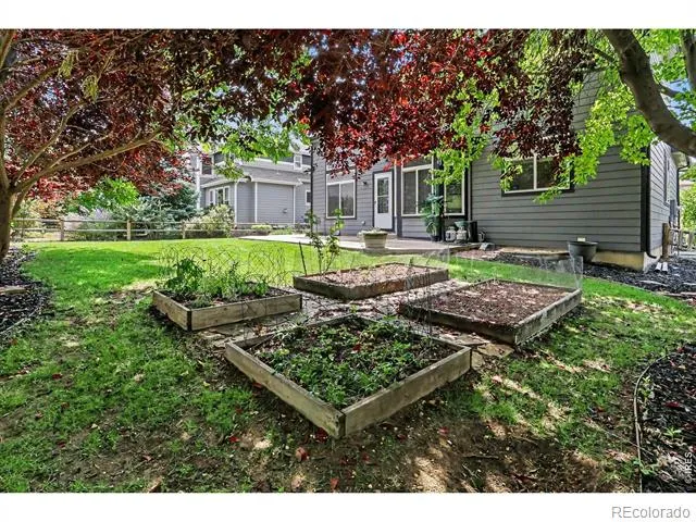 8106 Northstar Drive Windsor, CO 80528
