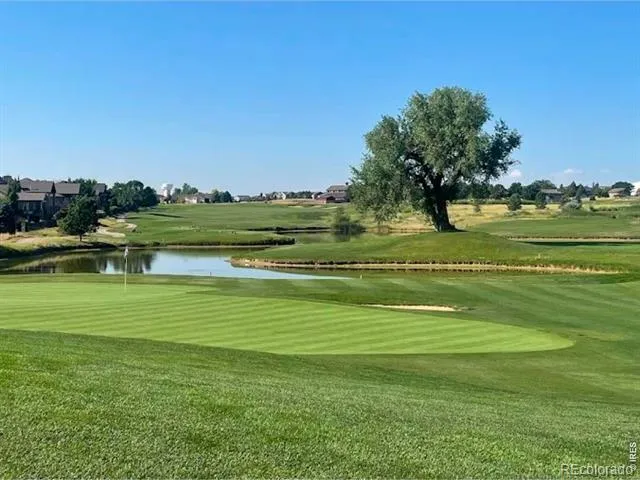 8106 Northstar Drive Windsor, CO 80528