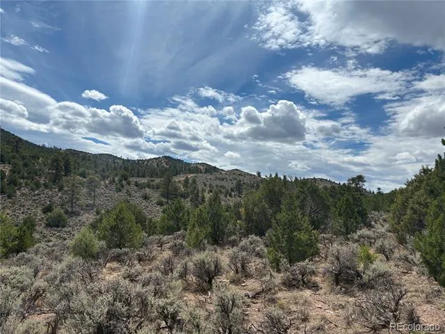 LOT 4546 Beekman Road Fort Garland, CO 81133
