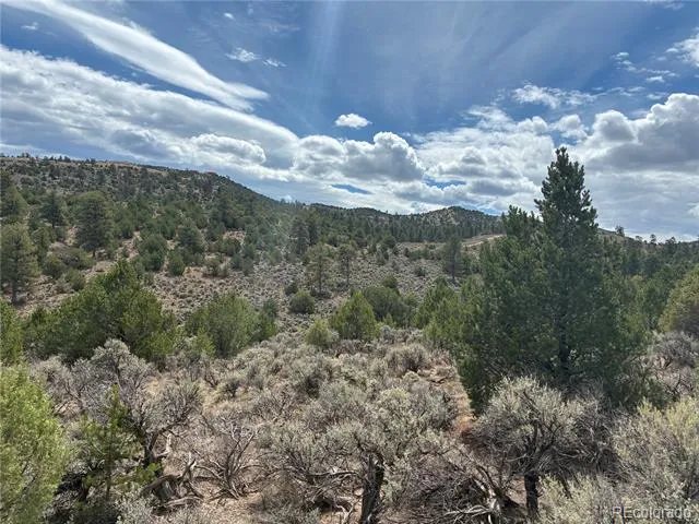 LOT 4546 Beekman Road Fort Garland, CO 81133