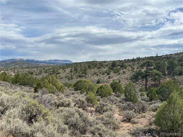 LOT 4546 Beekman Road Fort Garland, CO 81133