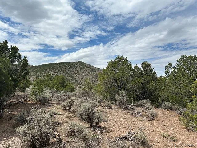 LOT 4546 Beekman Road Fort Garland, CO 81133