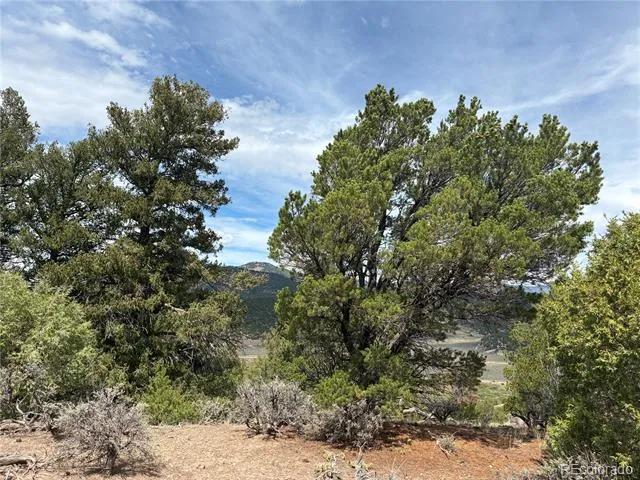 LOT 4546 Beekman Road Fort Garland, CO 81133