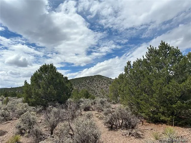 LOT 4546 Beekman Road Fort Garland, CO 81133