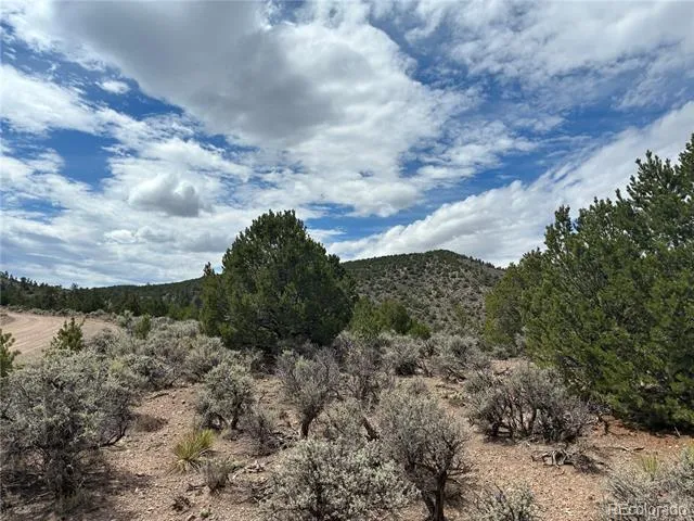 LOT 4546 Beekman Road Fort Garland, CO 81133