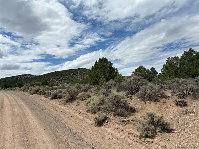 LOT 4546 Beekman Road Fort Garland, CO 81133