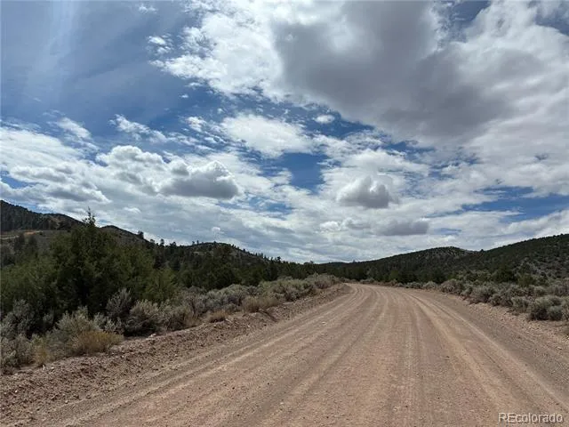 LOT 4546 Beekman Road Fort Garland, CO 81133