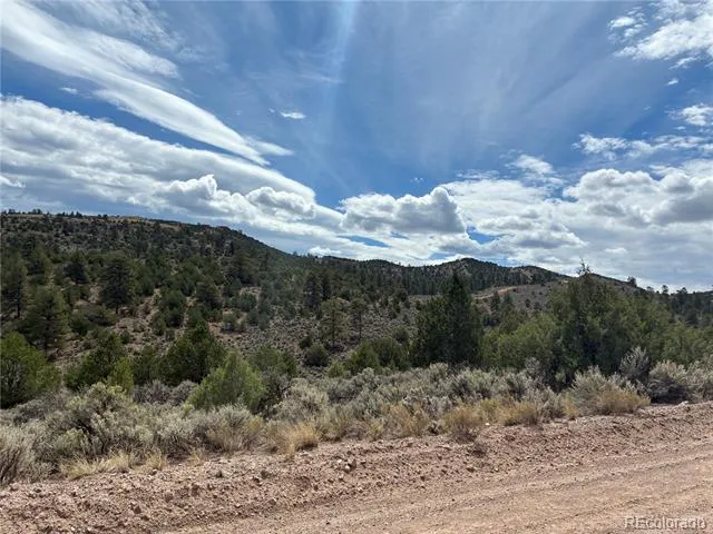 LOT 4546 Beekman Road Fort Garland, CO 81133