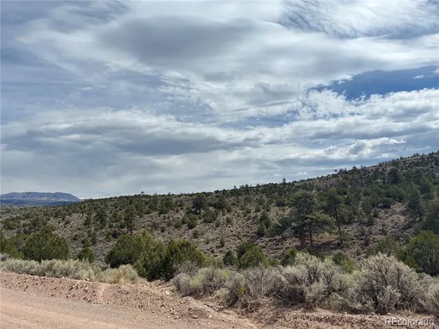 LOT 4546 Beekman Road Fort Garland, CO 81133
