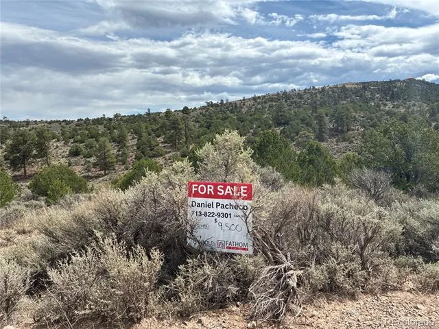 LOT 4546 Beekman Road Fort Garland, CO 81133