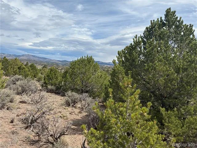 LOT 4546 Beekman Road Fort Garland, CO 81133