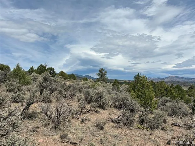 LOT 4546 Beekman Road Fort Garland, CO 81133