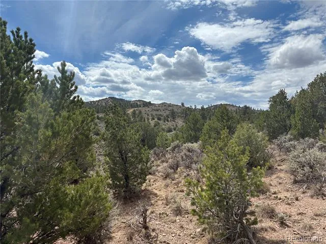 LOT 4546 Beekman Road Fort Garland, CO 81133