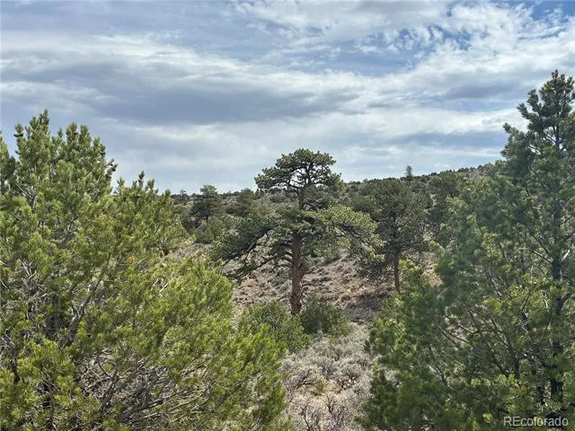 LOT 4546 Beekman Road Fort Garland, CO 81133