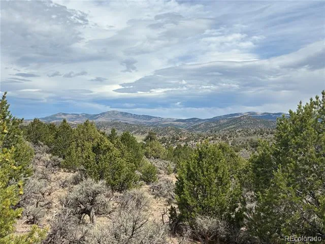 LOT 4546 Beekman Road Fort Garland, CO 81133