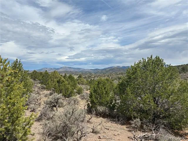 LOT 4546 Beekman Road Fort Garland, CO 81133