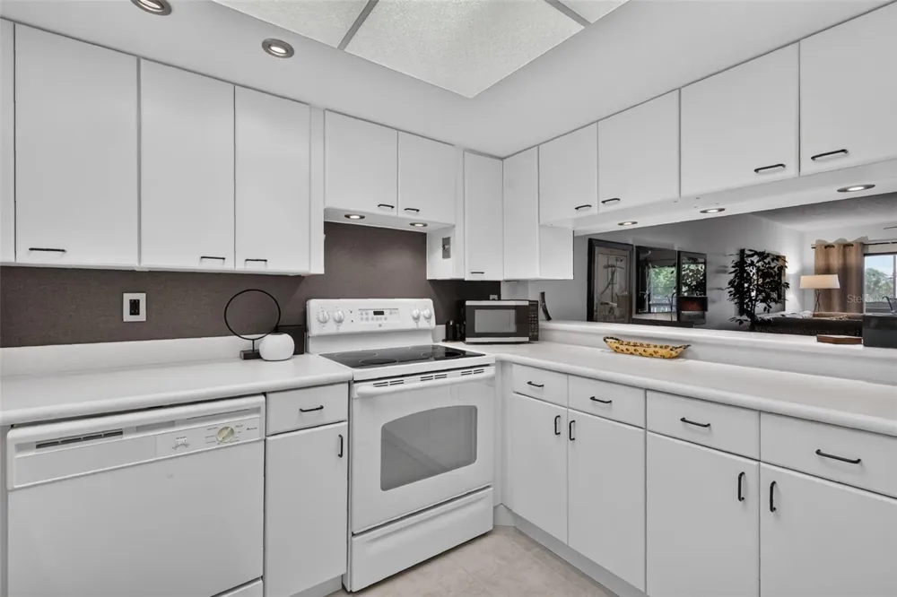 101 GRANDVIEW STREET #412 Mount Dora, FL 32757