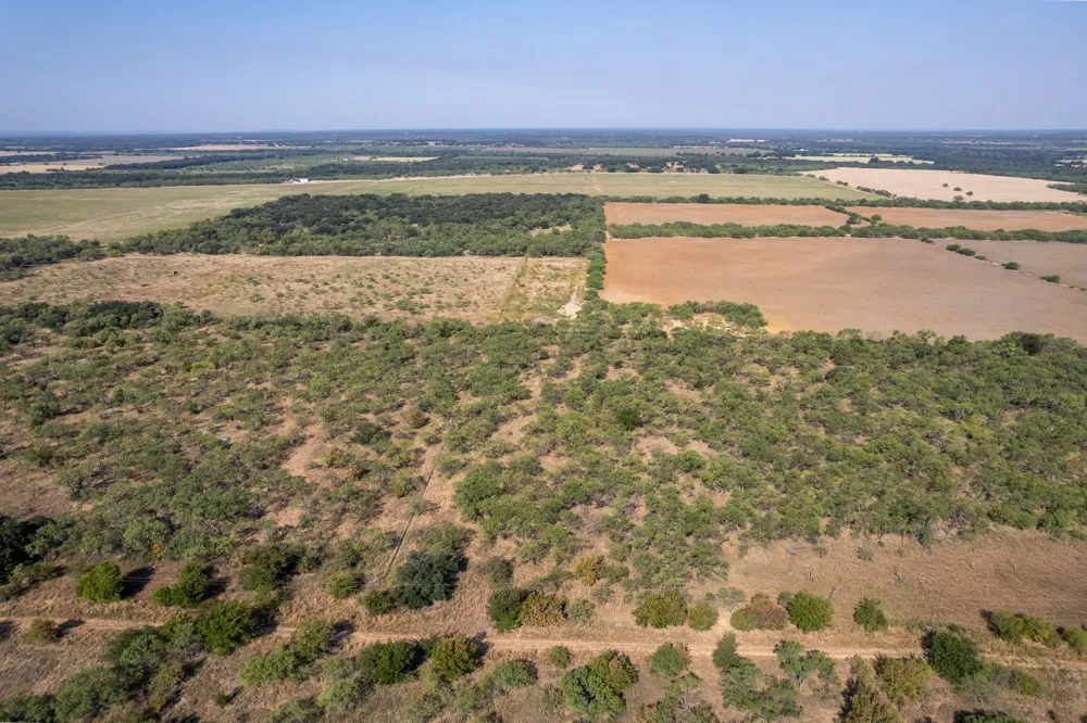 454 CR 196 Gorman, TX 76454