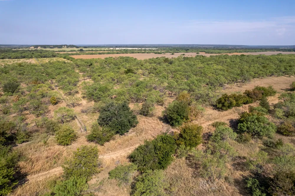 454 CR 196 Gorman, TX 76454