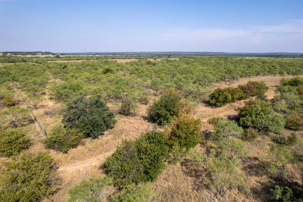 454 CR 196 Gorman, TX 76454