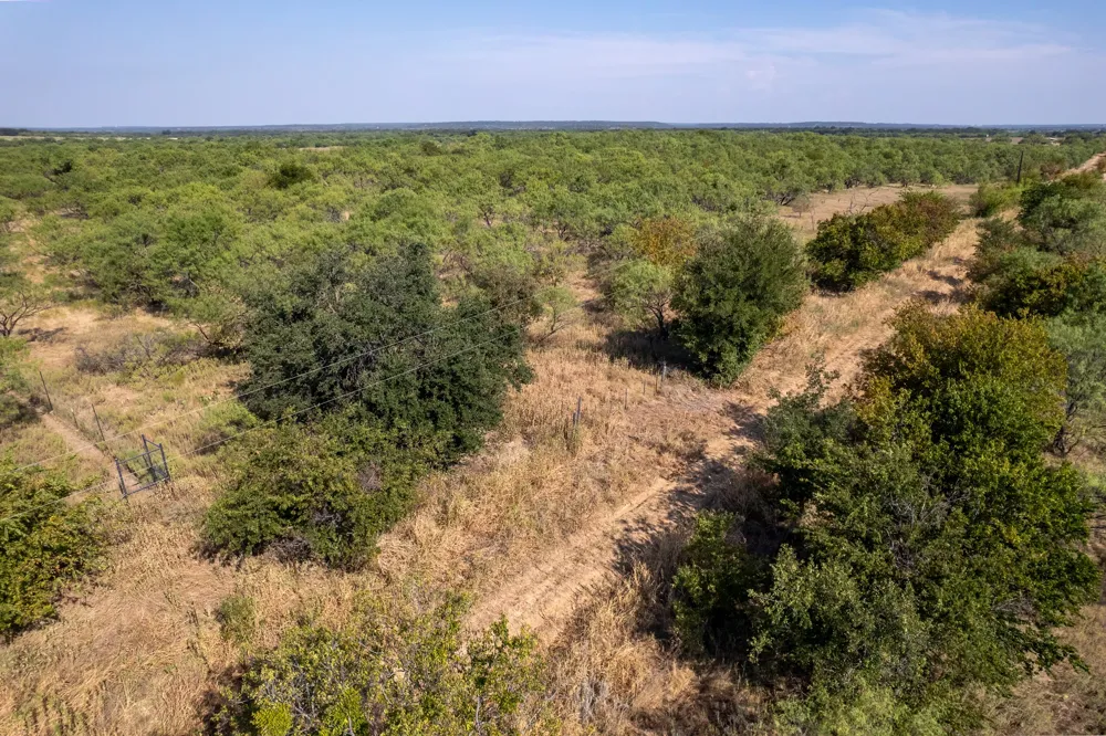 454 CR 196 Gorman, TX 76454