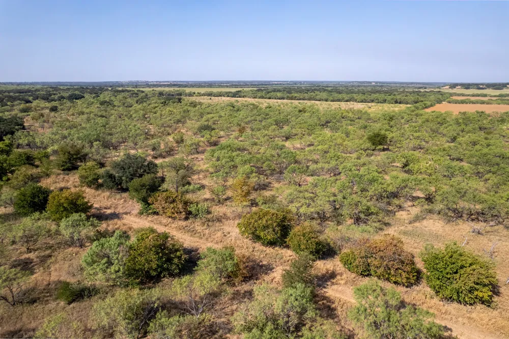 454 CR 196 Gorman, TX 76454