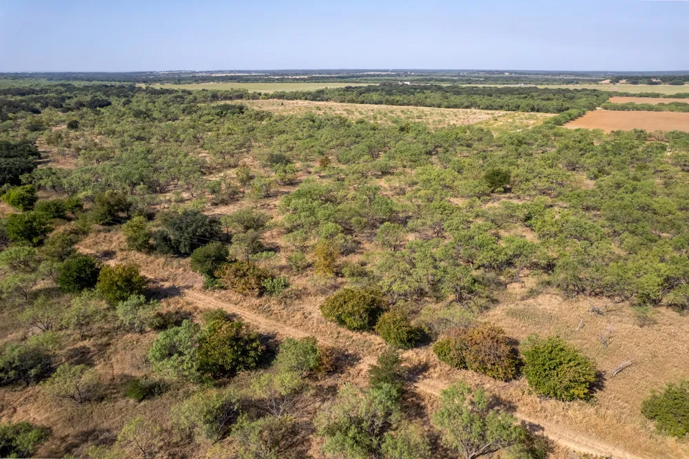 454 CR 196 Gorman, TX 76454