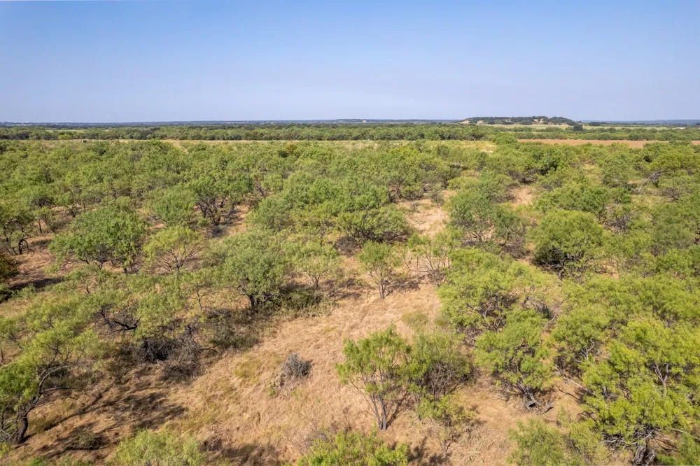 454 CR 196 Gorman, TX 76454