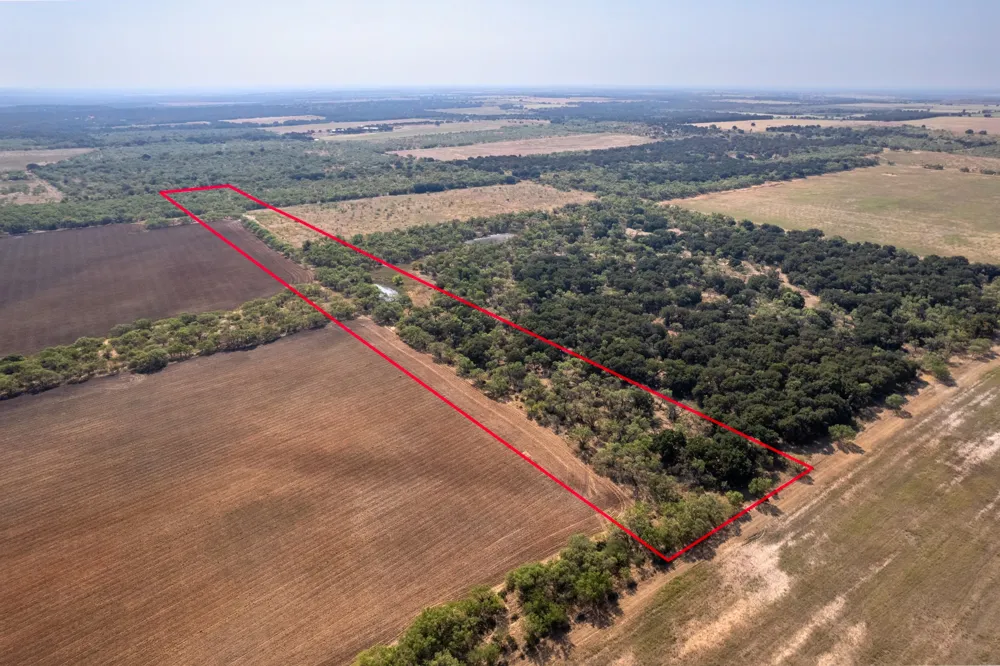 454 CR 196 Gorman, TX 76454