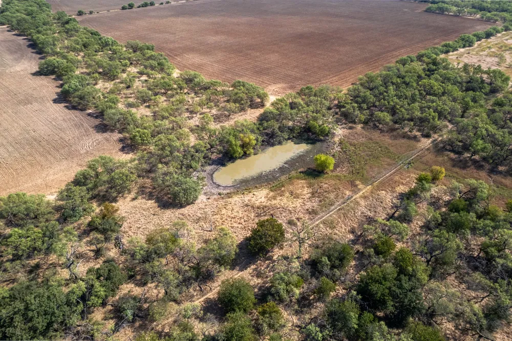 454 CR 196 Gorman, TX 76454