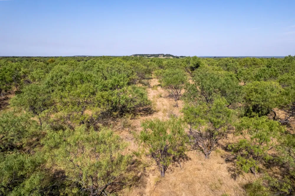 454 CR 196 Gorman, TX 76454
