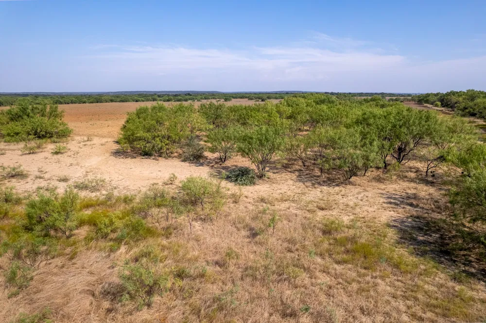 454 CR 196 Gorman, TX 76454