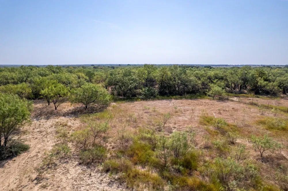 454 CR 196 Gorman, TX 76454