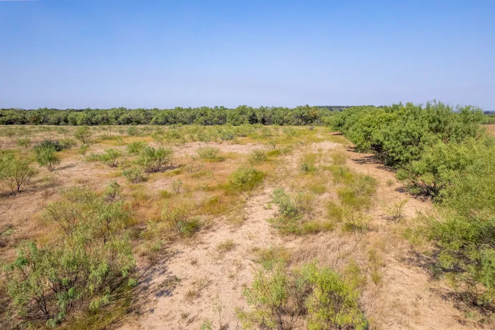 454 CR 196 Gorman, TX 76454