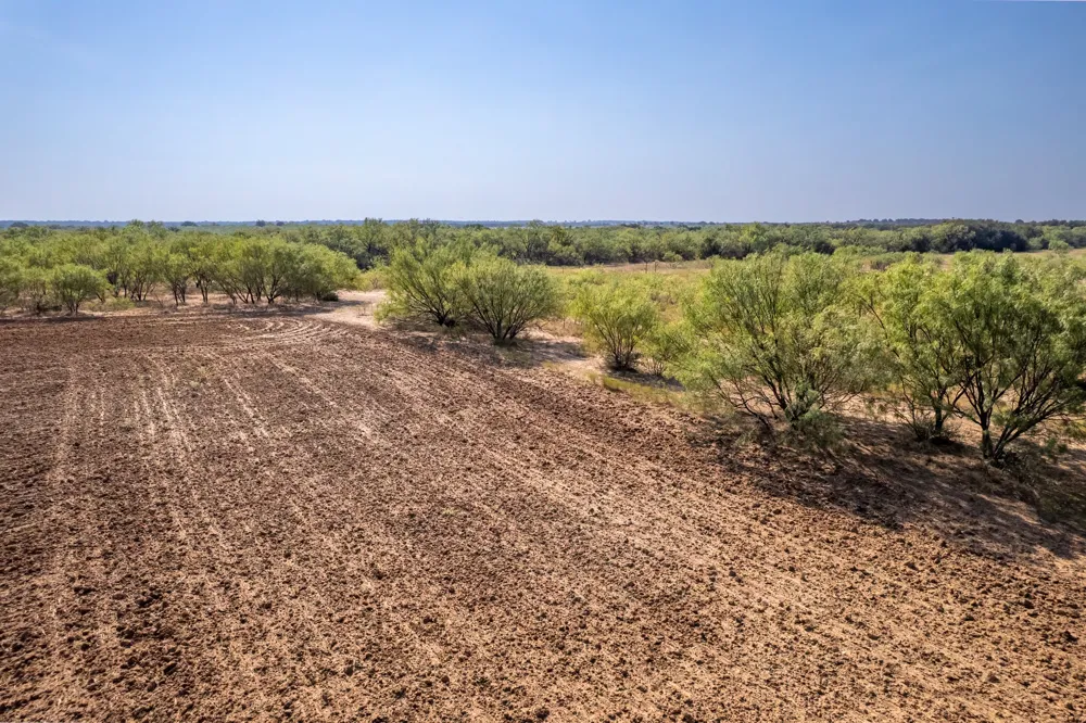 454 CR 196 Gorman, TX 76454