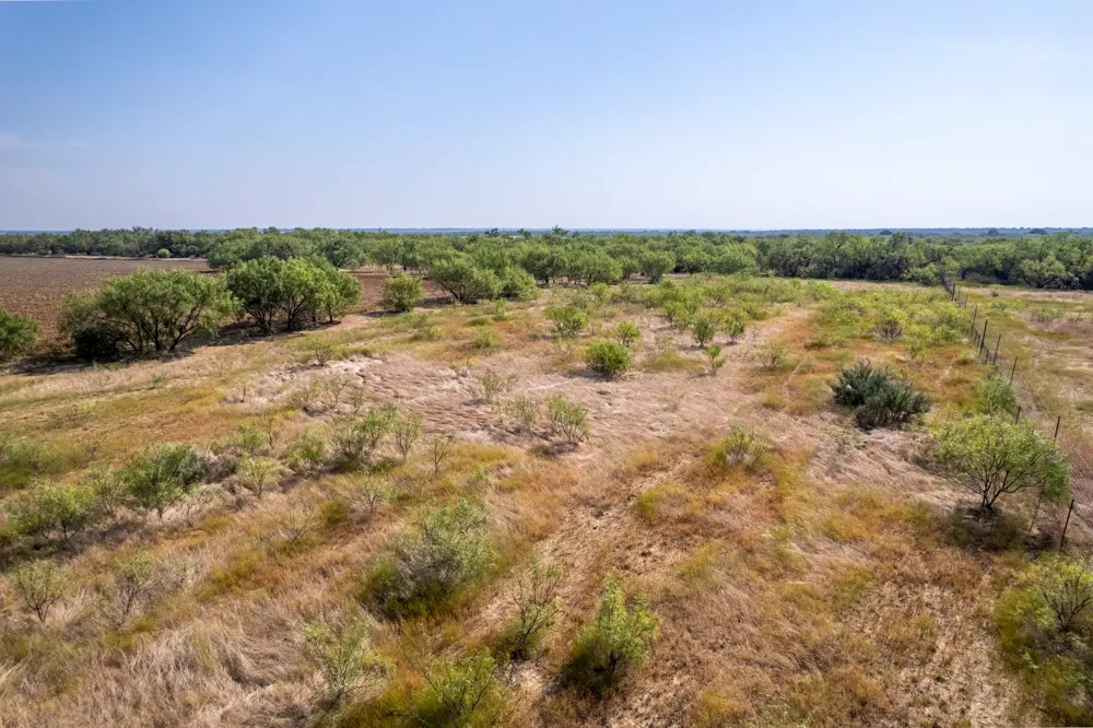 454 CR 196 Gorman, TX 76454