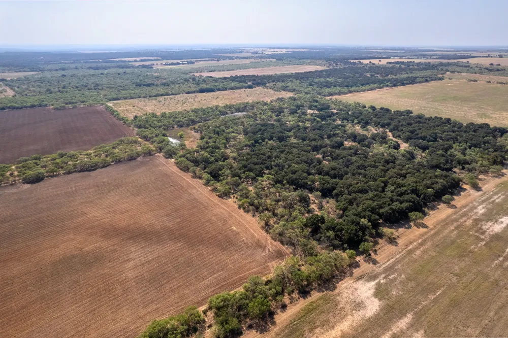 454 CR 196 Gorman, TX 76454