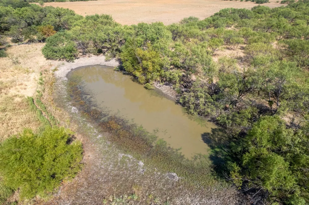 454 CR 196 Gorman, TX 76454