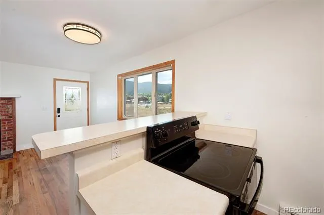 258 Cove Boulevard #11 Dillon, CO 80435