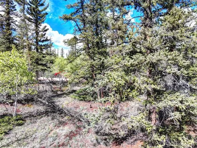 860 Shoshone Drive Como, CO 80456