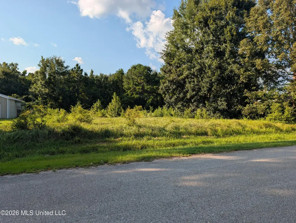 2382 Coelho Way Diamondhead, MS 39525