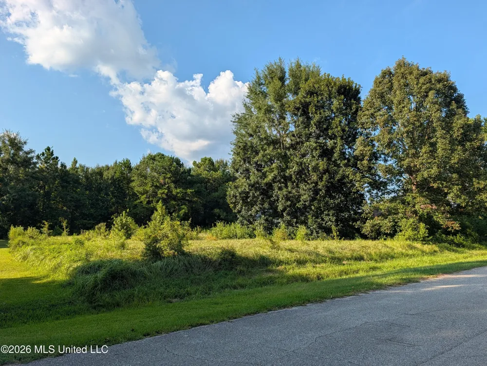 2382 Coelho Way Diamondhead, MS 39525