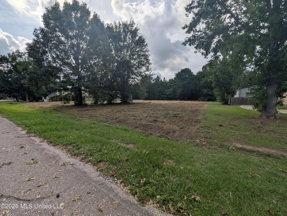 2382 Coelho Way Diamondhead, MS 39525