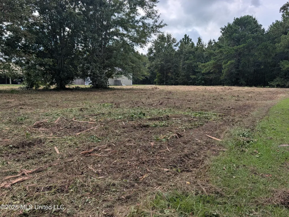 2382 Coelho Way Diamondhead, MS 39525