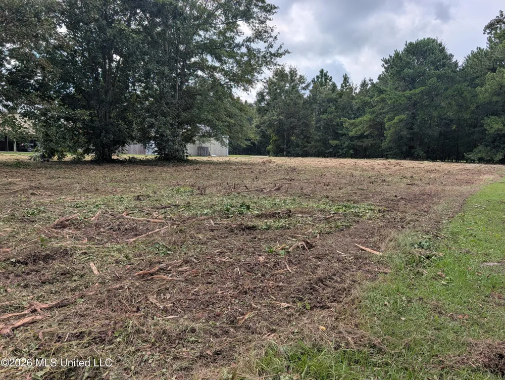 2382 Coelho Way Diamondhead, MS 39525