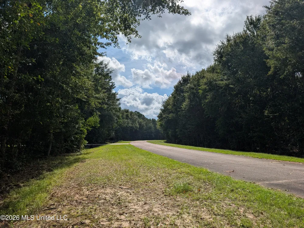 2382 Coelho Way Diamondhead, MS 39525