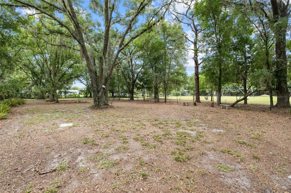 7402 W KNIGHTS GRIFFIN ROAD Plant City, FL 33565
